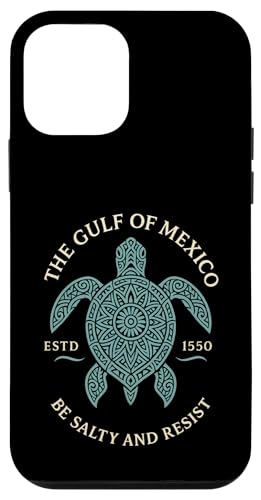 Der Golf von Mexiko Est. 1550 Be Salty And Resist Hülle für iPhone 12 mini Der Golf von Mexiko Est. 1550 Be Salty And Resist Hülle für iPhone 12 mini von Gulf Of Mexico Est 1550 Apparel Gifts