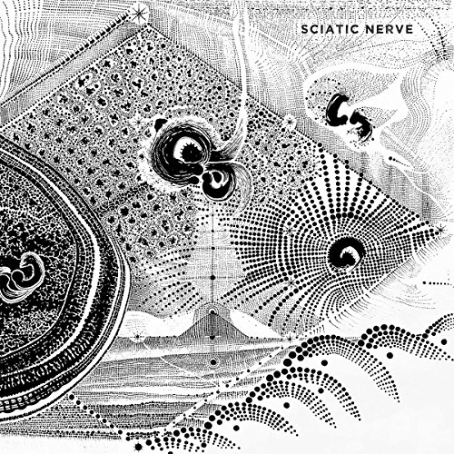 Sciatic Nerve [Vinyl LP] von Gunner Records (Broken Silence)