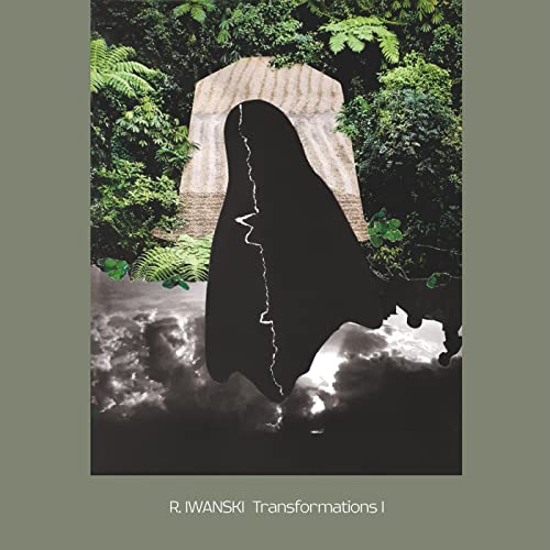 Transformations I von Gusstaff Records / Indigo