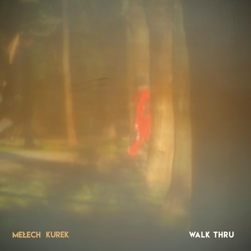 Walk Thru von Gusstaff Records / Indigo