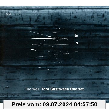 The Well von Gustavsen, Tord Quartet