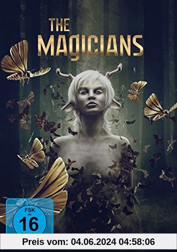 The Magicians - Staffel 2 [4 DVDs] von Guy Norman Bee