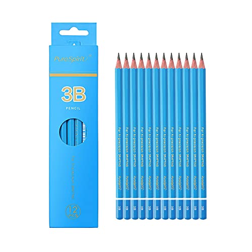 HAIHAOMUM 12 Stück Professionelle Bleistiften zum Zeichnen (3B 12pcs) von HAIHAOMUM