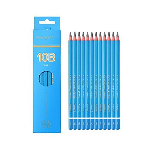 HAIHAOMUM 12 Stück Professionelle Bleistiften zum Zeichnen - Härtegrad 10B, dunkler und weicher, um die gesamte Hell-Dunkel-Beziehung herzustellen - Graphitstifte für Kunstler von HAIHAOMUM