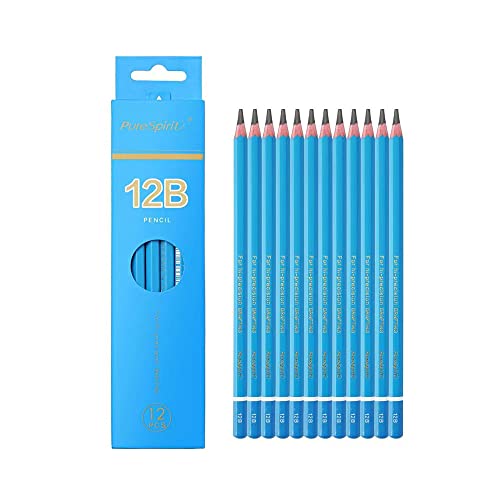 HAIHAOMUM 12 Stück Professionelle Bleistiften zum Zeichnen - Härtegrad 12B, dunkler und weicher, um ein Gefühl von dreidimensionaler Form zu erzeugen - Graphitstifte für Kunstler von HAIHAOMUM