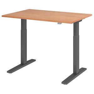 HAMMERBACHER XMKA12 elektrisch höhenverstellbarer Schreibtisch nussbaum rechteckig, C-Fuß-Gestell grau 120,0 x 80,0 cm von HAMMERBACHER