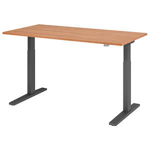 HAMMERBACHER XMKA16 elektrisch höhenverstellbarer Schreibtisch nussbaum rechteckig, C-Fuß-Gestell grau 160,0 x 80,0 cm von HAMMERBACHER