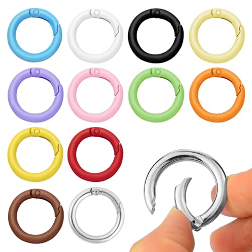 HANIUTTY 12 Stück Mini Karabinerhaken, 2,4 cm Runde Karabiner Schlüsselanhänger Spaltring O Ring Schlüsselring Karabiner Schlüsselringe Klein Clip Ringe Haken für Geldbörsen Kettenclip DIY von HANIUTTY
