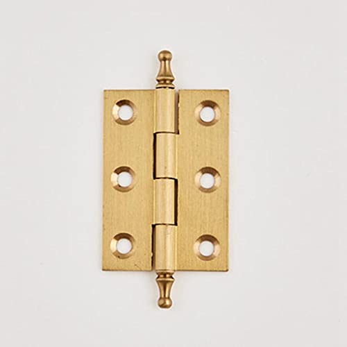 5 Stück gebürstetes Messing dekorative Schranktür-Scharniere Goldscharniere(75mm) von HAODUOO