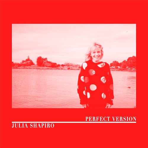 Perfect Version [Vinyl LP] von HARDLY ART RECORDS