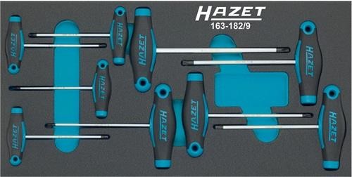 Hazet Werkzeugmodul 163-182/9 9-tlg.Anz.Werkzeuge:9 HAZET Hazet Werkzeugmodul 163-182/9 9-tlg.Anz.Werkzeuge:9 HAZET von HAZET