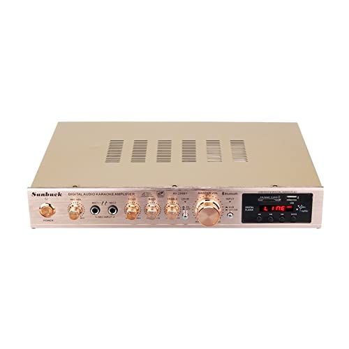 720W 5 Kanal Home Verstärker Audio Digital Auto Auto EIN V HiFi-Klasse Leistungsverstärker Stereo-Sound Fm Radio-Player-Audioprozessor,Einfache Balance-Kontrolle(Gold) von HEALBYBLE