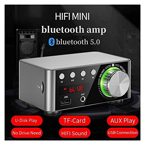 HEALBYBLE 100W Audio HiFi Bluetooth 5.0 Power Class D Verstärker TPA3116 Digital AMP Home Audio Car Marine USB AUX in. Mini-Audio,Einfache Balance-Kontrolle(Silver and Adapter,220-V) von HEALBYBLE