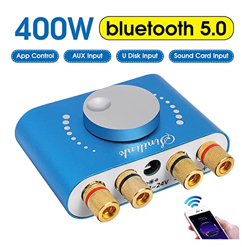 HEALBYBLE 20. 0w + 200w 12V / 24V Mini-Verstärker Bluetooth 5.0 Lautsprecher Digital Audio Power Class D HiFi Stereo USB Musik-Soundkarte. Ampere Hauswagen,Einfache Balance-Kontrolle(12V 2A Adapter) von HEALBYBLE