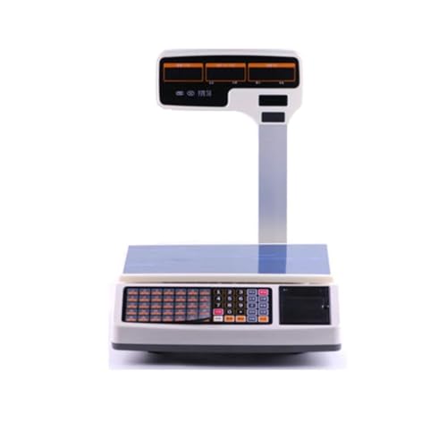 HEALBYBLE Digitale Waa, 30 kg, Küchenkassen-Belegwaa mit Software for POS-Einzelhandelsschäfte,Lange Lebensdauer(Scale and Cash Box) von HEALBYBLE