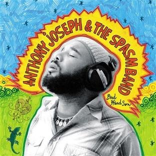 Bird Head Son [Vinyl LP] von HEAVENLY SWEETNE