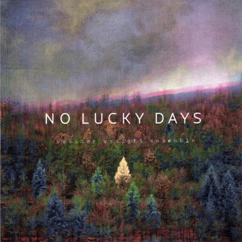 No Lucky Days [Vinyl LP] von HEAVENLY SWEETNE