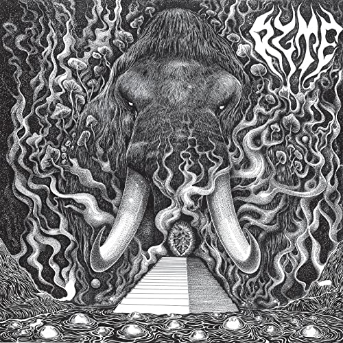 Ryte [Vinyl LP] von HEAVY PSYCH SOUN