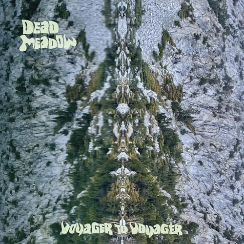 Voyager to Voyager [Vinyl LP] von HEAVY PSYCH SOUNDS