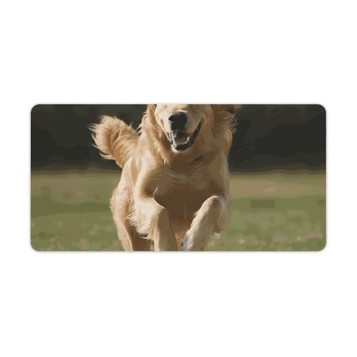 Gaming-Mauspad, Schreibtischunterlage, großes Mauspad, Golden Retriever, Laufen, LED-Mauspad, rutschfeste Unterseite, wasserdicht, Schreibtisch-Schreibunterlage für Büro und Zuhause Gaming-Mauspad, Schreibtischunterlage, großes Mauspad, Golden Retriever, Laufen, LED-Mauspad, rutschfeste Unterseite, wasserdicht, Schreibtisch-Schreibunterlage für Büro und Zuhause von HEBVNJF