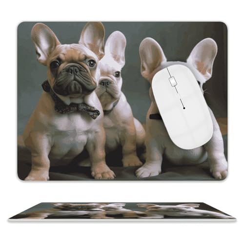 Rutschfeste Gummiunterseite, kleines Mauspad, quadratisch, 20,3 x 25,4 cm, Leder-Mauspad, Französische Bulldogge, Welpen Rutschfeste Gummiunterseite, kleines Mauspad, quadratisch, 20,3 x 25,4 cm, Leder-Mauspad, Französische Bulldogge, Welpen von HEBVNJF
