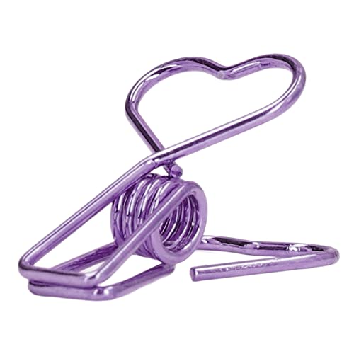 20pcs Goldpapierclips, Bulk Office Supplies für Dokumente Bindung Antirust -Metallclips mit Organizer Box Schreibtischzubehör für Home Office School (PURPLE) von HEEPDD