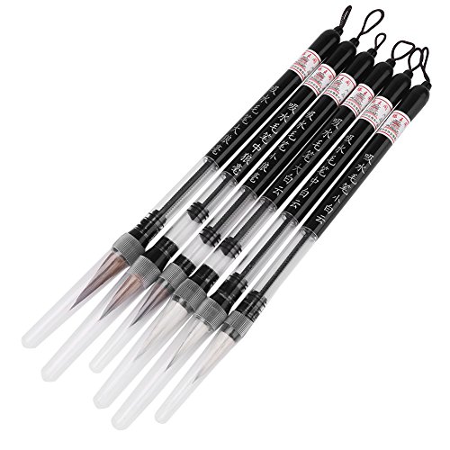 6 stücke Wasser Pinsel Stift Set, kolben Wasser Farbe Pinsel Chinesische Kalligraphie Stift für Anfänger Üben Malerei Kalligraphie Auf Wasser Schreiben TuchPinsel-Sets von HEEPDD