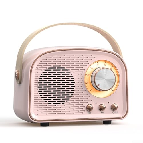 HEIBTENY 1 Stücke Lautsprecher, Retro Bluetooth Lautsprecher Mit FM Radio Tragbare Drahtlose Lautsprecher, Mini Tragbare(Pink) von HEIBTENY