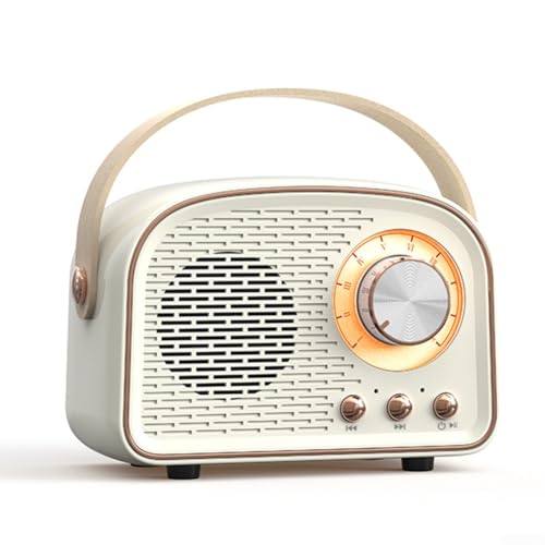 HEIBTENY 1 Stücke Lautsprecher, Retro Bluetooth Lautsprecher Mit FM Radio Tragbare Drahtlose Lautsprecher, Mini Tragbare(White) von HEIBTENY
