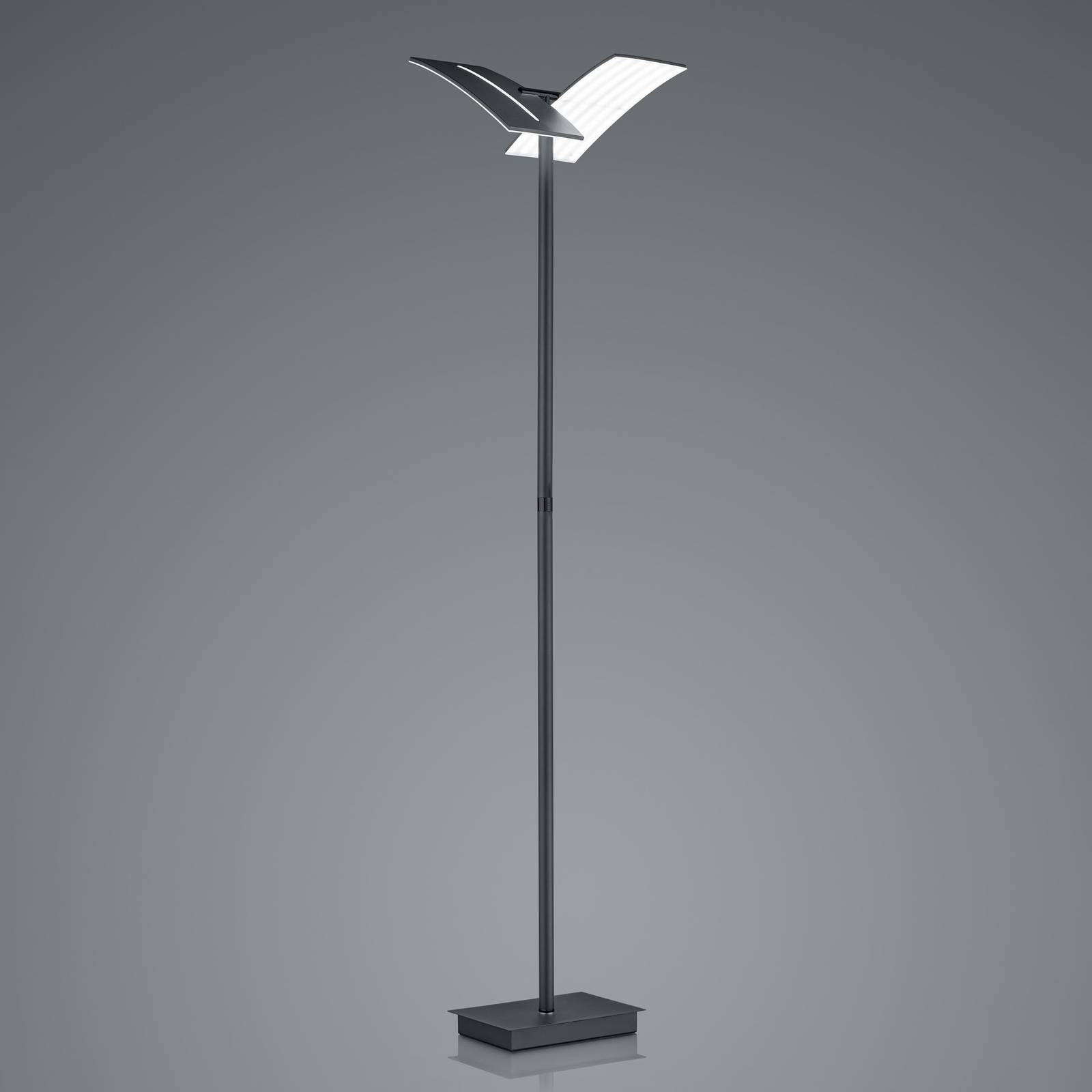 LED-Stehleuchte Dual CCT, dimmbar, schwarz LED-Stehleuchte Dual CCT, dimmbar, schwarz von HELL