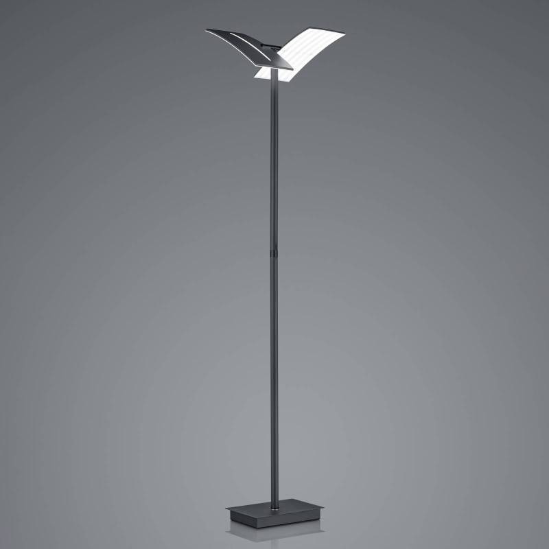 LED-Stehleuchte Dual CCT, dimmbar, schwarz von HELL
