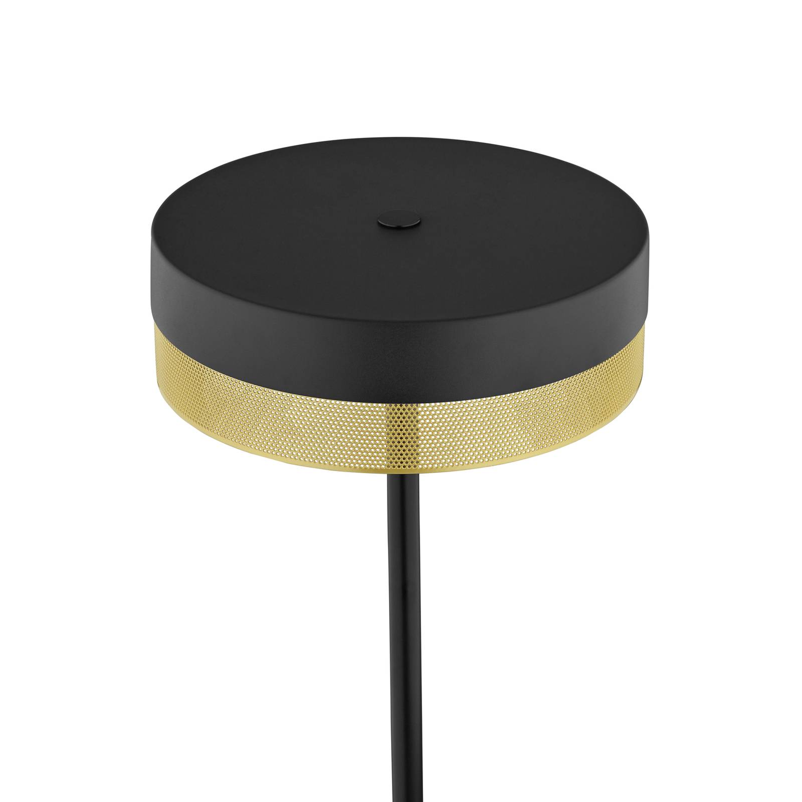 LED-Stehleuchte Mesh mit Dimmer, schwarz/gold LED-Stehleuchte Mesh mit Dimmer, schwarz/gold von HELL