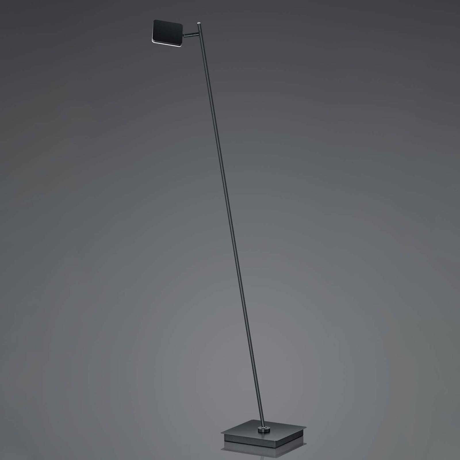 LED-Stehleuchte Tim, CCT, schwarz LED-Stehleuchte Tim, CCT, schwarz von HELL