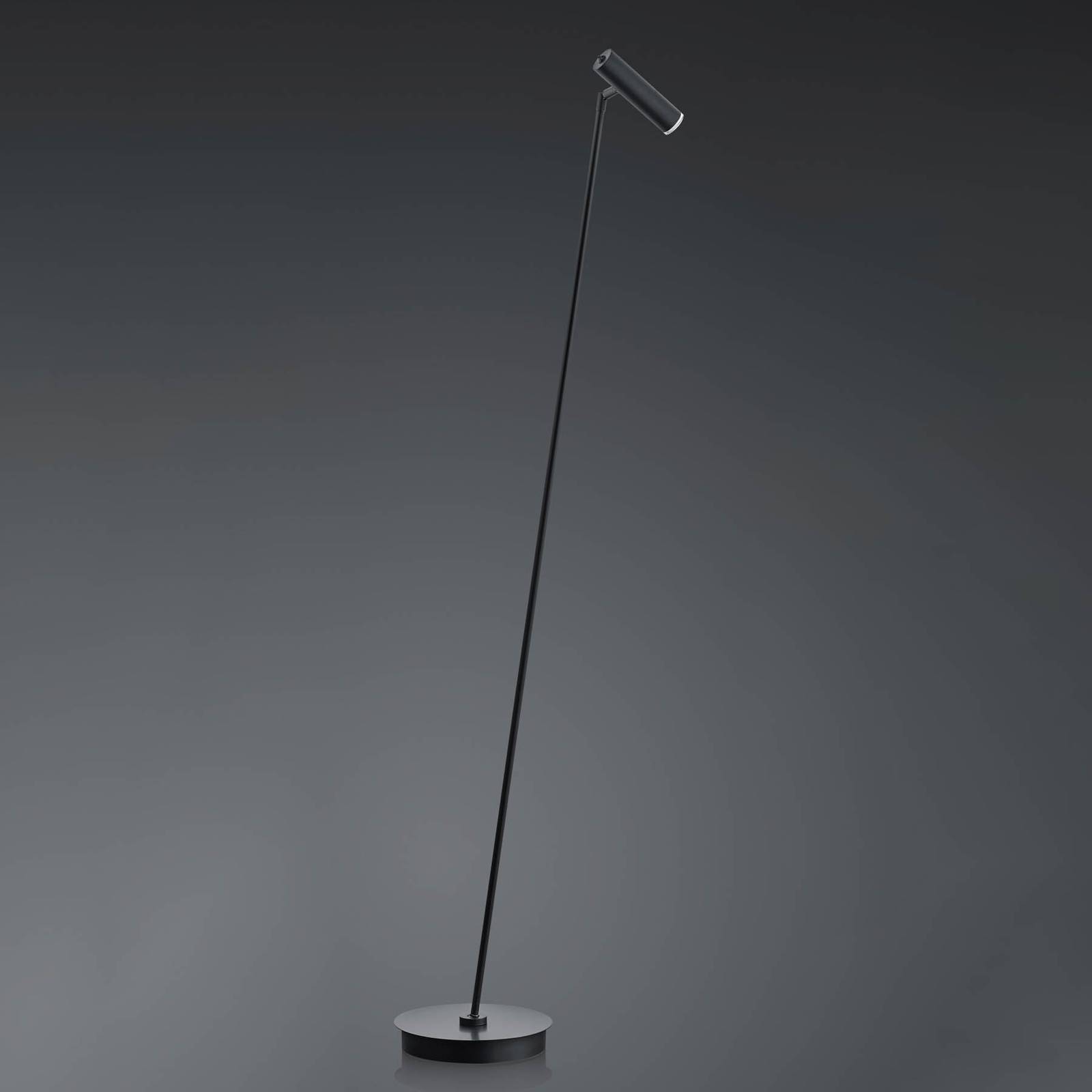 LED-Stehleuchte Tom, dimmbar, schwarz LED-Stehleuchte Tom, dimmbar, schwarz von HELL