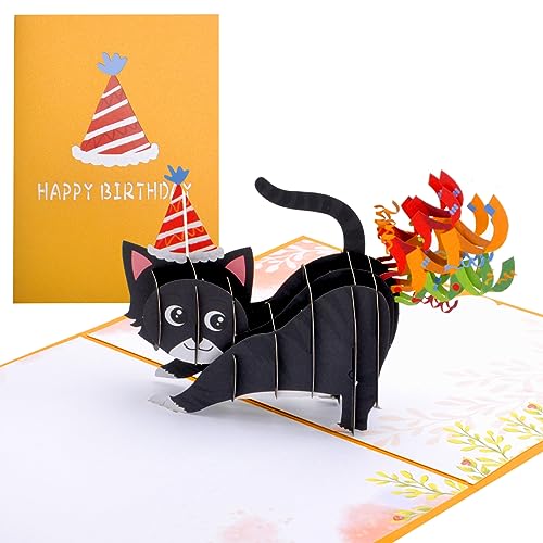 HENGBIRD Geburtstagskarte, Pop Up 3D Katz, Glückwunschkarte, Freundschaftskarte Geschenkkarte, Überraschungskarte Ermutigungskarten mit Schwarze Katze für Gute Besserung Danke Jahrestag von HENGBIRD