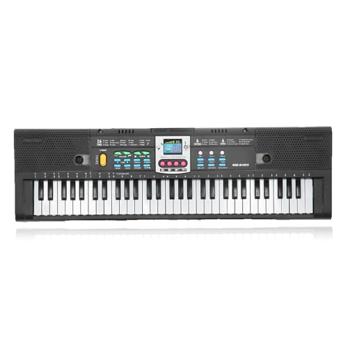 Keyboard-Klavier, 61-Tasten Mini-E-Piano, Elektrisches Digitales Keyboard-Klavier, Multifunktionales Studio-Spielzeugmikrofon, Einzelnes Instrument Zum Üben von HERCHR