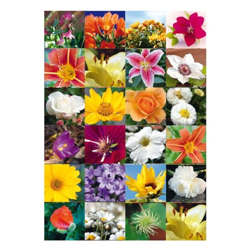 HERMA 3077 Aufkleber Blumen klein groß, 72 Stück, Pflanzen Sticker mit Blume Motiv, Kinder Etiketten für Fotoalbum Tagebuch Poesiealbum Scrapbooking Geburtstag Dekoration Briefe DIY Basteln HERMA 3077 Aufkleber Blumen klein groß, 72 Stück, Pflanzen Sticker mit Blume Motiv, Kinder Etiketten für Fotoalbum Tagebuch Poesiealbum Scrapbooking Geburtstag Dekoration Briefe DIY Basteln von HERMA