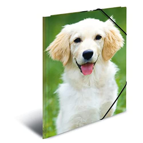 HERMA Sammelmappe A3 Hunde, Kinder Eckspanner-Mappe aus Kunststoff mit Tier Motiv, Gummizug, Innenklappen und Innendruck für Jungen und Mädchen HERMA Sammelmappe A3 Hunde, Kinder Eckspanner-Mappe aus Kunststoff mit Tier Motiv, Gummizug, Innenklappen und Innendruck für Jungen und Mädchen von HERMA