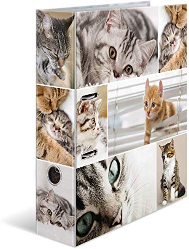 HERMA Ordner A4 Katzen, 7 cm breit, Kinder Ringordner mit Tier Motiv, bunter Aktenordner mit Innendruck für Jungen und Mädchen HERMA Ordner A4 Katzen, 7 cm breit, Kinder Ringordner mit Tier Motiv, bunter Aktenordner mit Innendruck für Jungen und Mädchen von HERMA