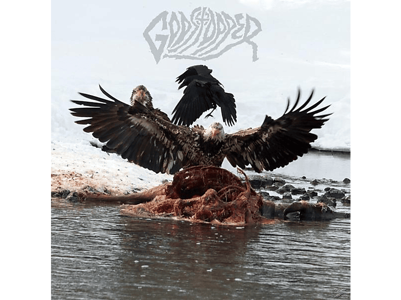 Godstopper - Who Tries Anymore (Vinyl) von HEX RECORDS