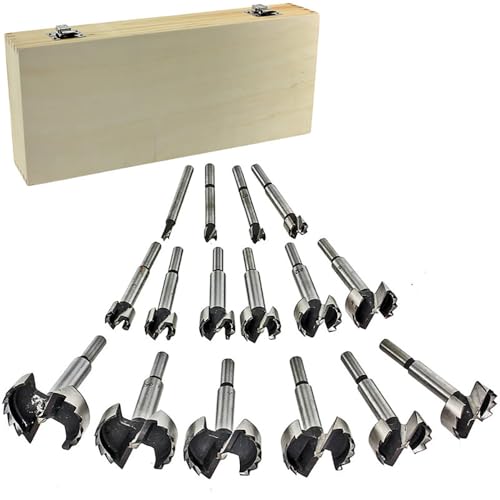 Forstnerbohrer Set,Forstnerbohrer,Eent Forstnerbohrer Set,16PCS Holzlochfräse Holzbohrer mit Sechskantschaft für Holz und Hartholz Kunststoff,(6,10,13,16,19,22,25,28,30,32,35,38,41,44,48,51,54mm) von HEYOUTH