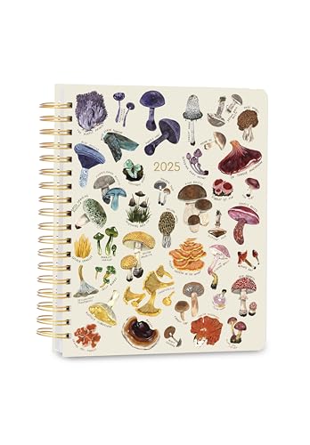 High Note 2025 Planer, 17 Monate wöchentlich & monatlich Hardcover Planer von Kelsey Oseid: August 2024 bis Dezember 2025, 22,9 x 25,4 cm – Pilze von HIGH NOTE
