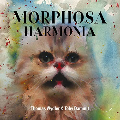 Morphosa Harmonia (Lp-Box) [Vinyl LP] von HIT THING
