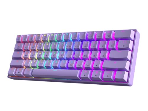 HK GAMING GK61 60% v3 | Kompakte Mechanische Gaming Tastatur | 61 Tasten Mehrfarbig RGB LED Beleuchtet Für PC/Mac Gamer | ANSI US Layout (Lavendel, Gateron Optical Red Switch) von HK GAMING