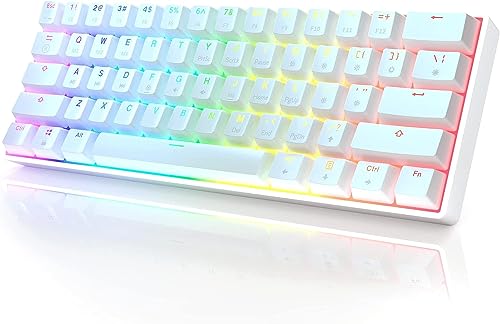 HK Gaming GK61 mechanische 60 Prozent Tastatur | 61 programmierbare Tasten mit RGB Beleuchtung | Kompatibel mit Windows PC & Mac | QWERTY Layout | Hotswap Gateron Optical Brown Switches | Weiß von HK GAMING
