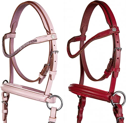HKM Funny Horses 2 Pferdeausstattung Rot Shetty HKM Funny Horses 2 Pferdeausstattung Rot Shetty von HKM