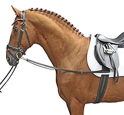 HKM 1873 Ausbinder, Hilfszügel Ausbindezügel Zügel, Rinderleder, Pony, 4000315562572 HKM 1873 Ausbinder, Hilfszügel Ausbindezügel Zügel, Rinderleder, Pony, 4000315562572 von HKM