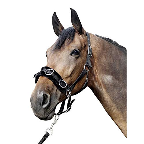 HKM 4057052241734 Kappzaum Aus Nylon Mit Plüschpolsterung9100 Schwarzpony von HKM