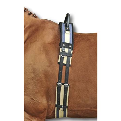 HKM Pferde Longiergurt mit Haltegriff – Gurt zum Longieren aus besonders strapazierfähigem Canvas-Material und Strupfen aus Leder | Ausführung: Pony (Dunkelblau-Beige) von HKM