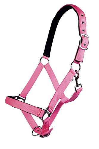 HKM 544068 Halfter Stars Softice, weich unterlegt HKM 544068 Halfter Stars Softice, weich unterlegt von HKM